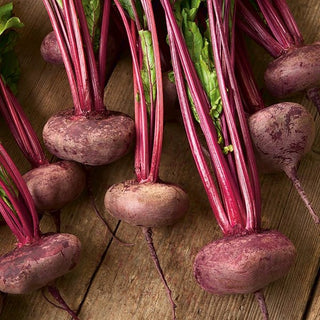 Rote Rübe - D'Egypte - Beliebt Bei Gärtnern Seit Jahren - Großpackung - 100 g