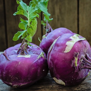 Kohlrabi - Delikatess Blauer - Lila Schale, zartes und saftiges Fruchtfleisch - Großpackung - 50 g
