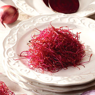 BIO Keimsprossen - Rote Rübe - Natürliches Eisenreiches Superfood - Premium-Saatgut