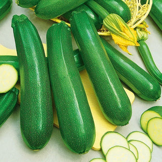 Zucchini - Diamant F1 - Extremer Ertrag und Resistenz, Top-Geschmack - Großpackung - 100 g