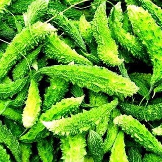 Bittergurke - Frisch, Knackig, Perfekt Für Salate - Momordica charantia