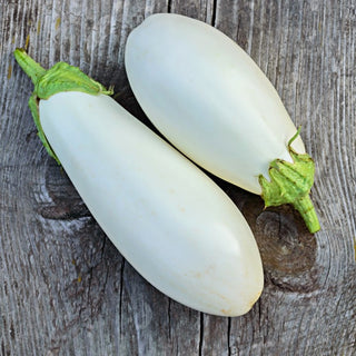 Aubergine White Egg - Einzigartige Form, milder Geschmack