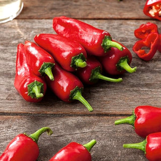 Chili Jalapeno - Klassisch, Intensiv Würzig