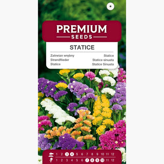 Strandflieder Mischung - Farbexplosion der Blumen - Limonium sinuatum