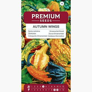 Zierkürbis Autumn Wings - Herbstliches Fest für die Augen, Vielfalt der Farben und Formen