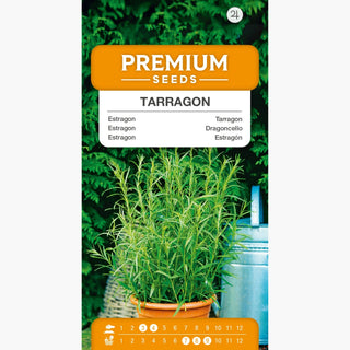 Estragon - Intensives Aroma, einfache Kultivierung, hervorragendes Gewürz - Artemisia dracunculus