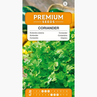 Koriander - Einfache Kultivierung, gesundheitliche Vorteile, unersetzliches Gewürz - Coriandrum sativum