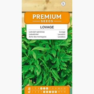 Liebstöckel - Aromatisches Aphrodisiakum für Suppen und Saucen - Levisticum officinale