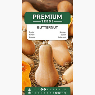 Kürbis Butternut - Besonders lecker und gesund - Cucurbita moschata