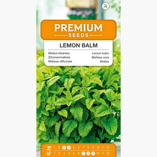 Zitronenmelisse - Aromatisch, beruhigend und blutdrucksenkend - Melissa officinalis