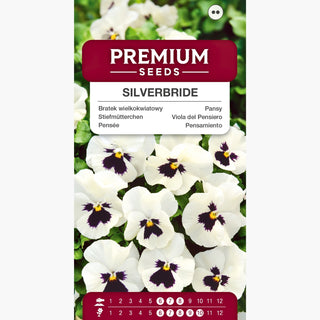 Stiefmütterchen - Silverbride - Zarte Eleganz Für Den Frühlingsbalkon - Viola ×wittrockiana