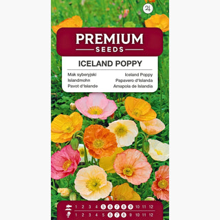 Islandmohn - Charmant, Farbenfroh, Besonders Robust - Papaver nudicaule