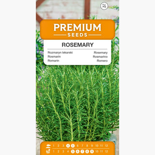 Rosmarin - Grüne Essenz von Geschmack und Aroma - Rosmarinus officinalis