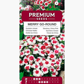 Chineser-Nelke - Merry Go-Round - Bunte Mischung Für Jede Gartenrabatte - Dianthus chinensis
