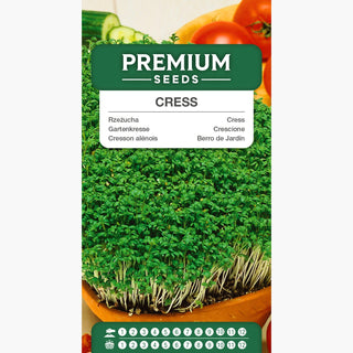 Gartenkresse - Vitaminquelle, erfrischender Zusatz für Sandwiches - Lepidium sativum