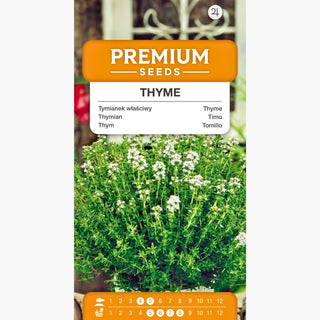Thymian - Aromatisch, ideal für Fleischgerichte - Thymus vulgaris