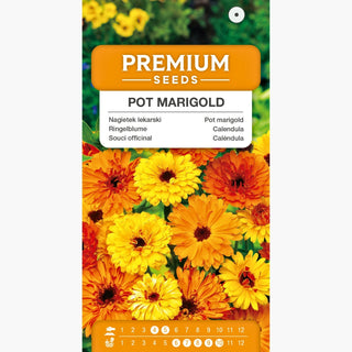 Ringelblume - Wunderschön für Beete, das Beste für Hautprobleme - Calendula officinalis