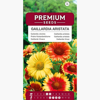 Prärie Kokardenblume - Mischung - Bunter Blütenteppich Für Sonnige Beete - Gaillardia aristata