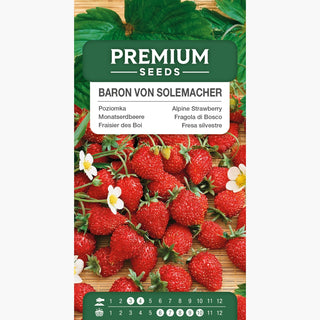 Monatserdbeere - Baron von Solemacher - Ertragreich, schmackhafte Früchte, ideal für den Hobbyanbau - Fragaria vesca