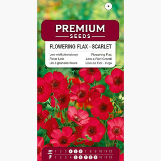 Roter Lein - Rot - Elegante Gartenzierde - Linum grandiflorum