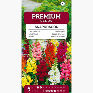Löwenmaul Mischung - Mehrfarbige Blumen, ideal für Beete und Schnittblumen - Antirrhinum majus