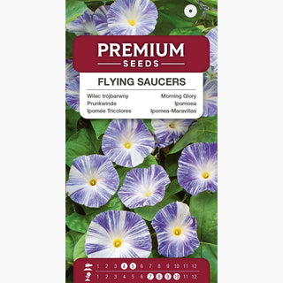 Prunkwinde - Flying Saucers - Dreifarbige, Besonders Originelle Blüten - Ipomoea tricolor