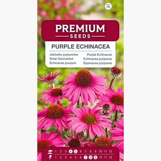 Roter Sonnenhut - Mehrjährig, dekorativ, bienenfreundlich, leicht zu kultivieren, frostbeständig - Echinacea purpurea