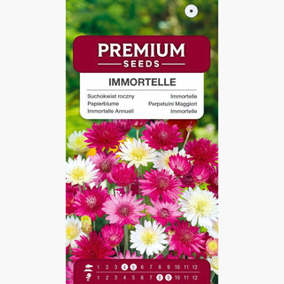 Papierblume Mischung - Intensiv farbige Blumen, ideal für Trockensträuße - Xeranthemum annuum