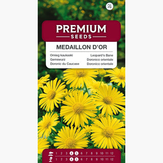 Gemswurz - Medaillon d’Or - Goldgelbe Große Frühlingsblüten - Doronicum orientale
