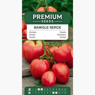 Tomate Ochsenherz Rosa - Hohe Erträge, gigantische Früchte
