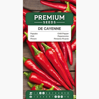 Chili - De Cayenne - Besonders aromatisch und scharf, für Freiland- und Unterglas-Anbau