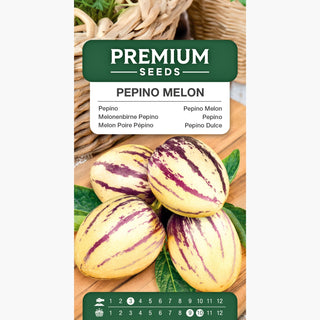 Melonenbirne Pepino - Dekorative Pflanze Mit Essbaren Saftigen Früchten - Solanum muricatum