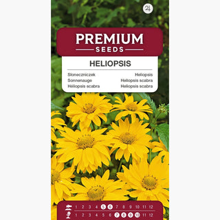Sonnenauge - Goldgelbe Blüten Von Sommer Bis Herbst - Heliopsis scabra