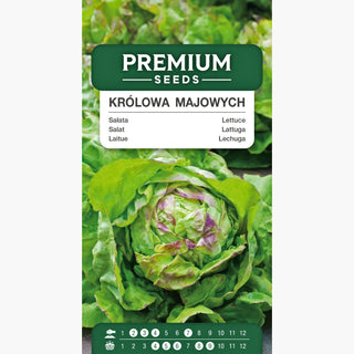 Salat Maikönig - Schnelle Ernte, die Königin der Salate und Sandwiches