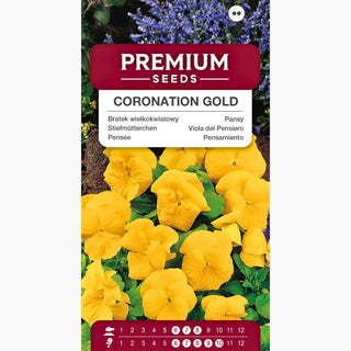 Stiefmütterchen - Coronation Gold - Goldener Glanz Für Jede Beetanlage - Viola ×wittrockiana