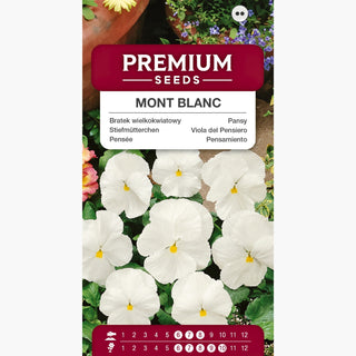 Stiefmütterchen - Mont Blanc - Klar Und Rein, Harmonischer Effekt - Viola ×wittrockiana