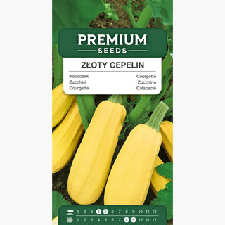 Zucchini Złoty Cepelin - Mittel frühe Sorte, sehr ertragreich, Früchte bis 2-4 kg