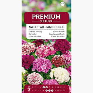 Bartnelke Gefüllte Mischung - Mehrfarbige, volle Blumen, ausgezeichnet für Beete und Schnittblumen - Dianthus barbatus