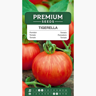 Tomate Tigerella - Super aromatische Früchte, einfacher Anbau, hoher Ertrag