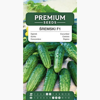 Gurke Śremski F1 - Früh, krankheitsresistent - Premium Seeds