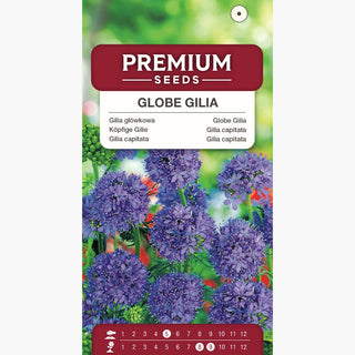 Köpfige Gilie - Perfekt Für Blumenwiesen, Beete - Gilia capitata