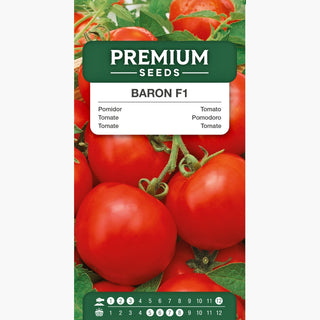 Tomate Baron F1 - Zuverlässige Resistenz, frühe Ernte, reichliche Ernte