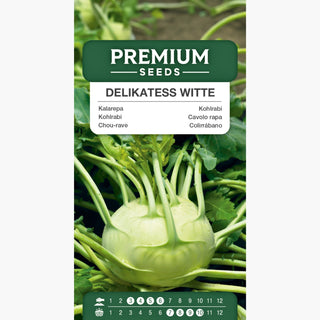 Kohlrabi - Delikatess Witte - Kurze Vegetationszeit, Hohe Qualität