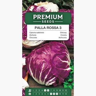 Zichorie Palla Rossa 3 - Ideal für Salate – frische und knusprige Blätter - Cichorium intybus var. foliosum