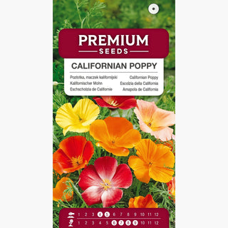 Kalifornische Mohn - Mischung - Bunte Seidige Zarte Blüten - Eschscholzia californica
