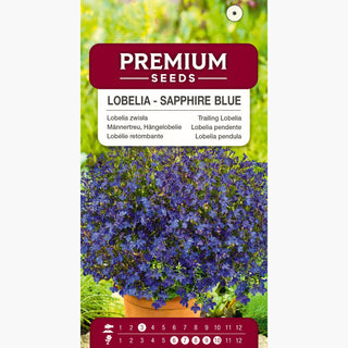 Männertreu, Hängelobelie - Saphirblau - Zuverlässige Sommerdekoration - Lobelia pendula