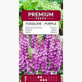 Fingerhut - Purpur - Majestätische Stiele In Einzigartigem Farbton - Digitalis purpurea
