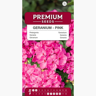 Geranie - Rosa - Leicht Für Die Kübelbepflanzung - Pelargonium zonale