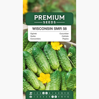 Gurke - Wisconsin SMR 58 - Mittelfrüh, Ertragreich, Besonders Widerstandsfähig