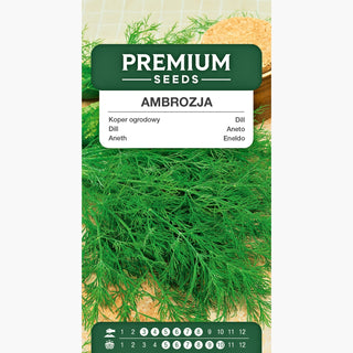 Dill Ambrozja - Früher Dill mit besonders intensivem Aroma